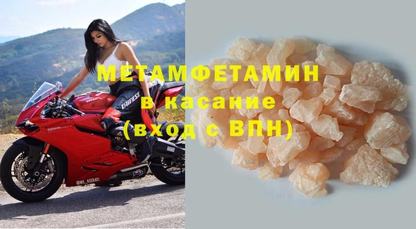 гидра Белокуриха