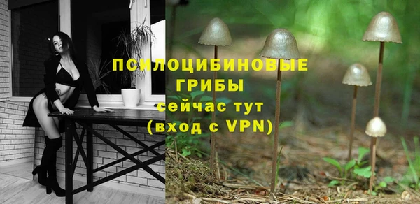 гидра Белокуриха