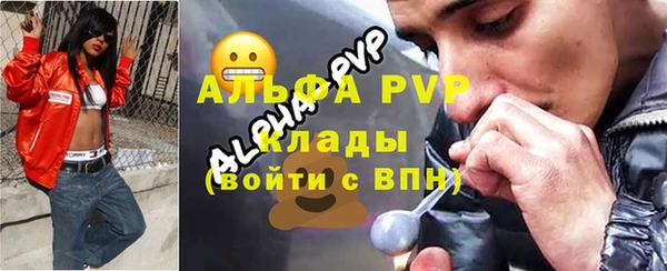 гидра Белокуриха