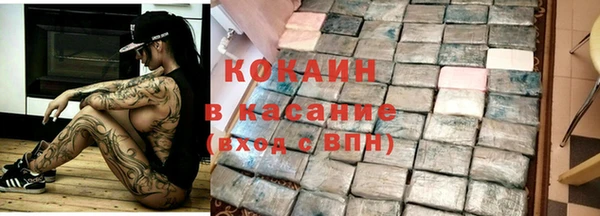 гидра Белокуриха