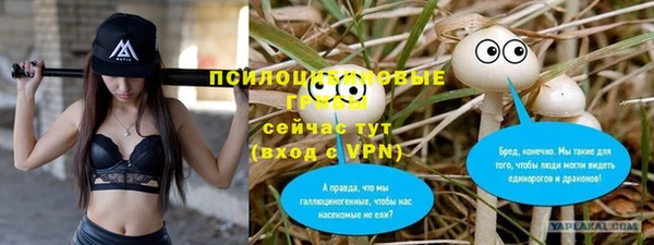 гидра Белокуриха