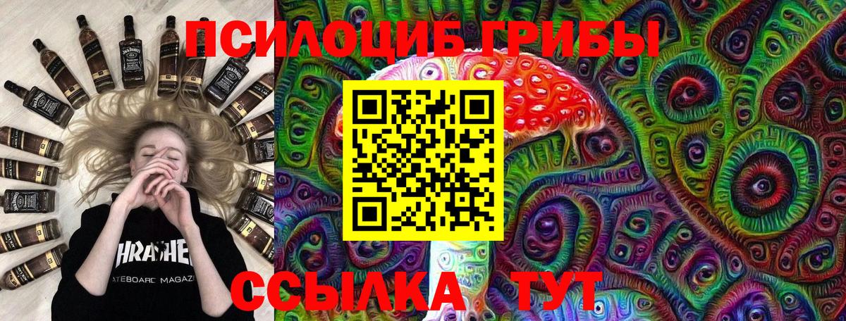 купить наркотики цена  Вход с VPN  Верхняя Пышма  Псилоцибиновые грибы GOLDEN TEACHER 
