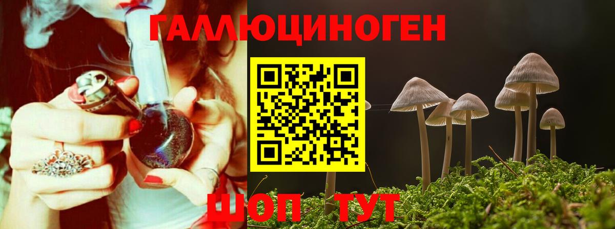 Псилоцибиновые грибы мицелий Верхняя Пышма